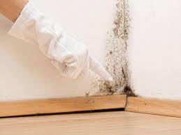 Why You Should Choose Our Mold Remediation Services in Hogansville, GA